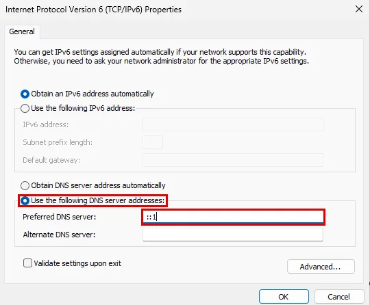 dc02 IPv6 özellikleri: Use the following DNS server addresses seçili ve Preferred DNS server alanında ::1, ikisi kırmızı çerçevede