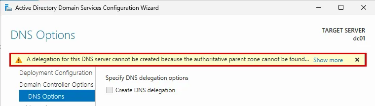 DNS Options sayfası: A delegation for this DNS server cannot be created uyarısı sarı bantta kırmızı çerçevede, Create DNS delegation kutusu gri
