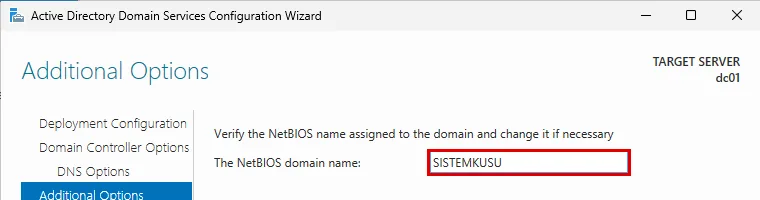 Additional Options sayfası: The NetBIOS domain name alanında SISTEMKUSU yazılı, alan kırmızı çerçevede