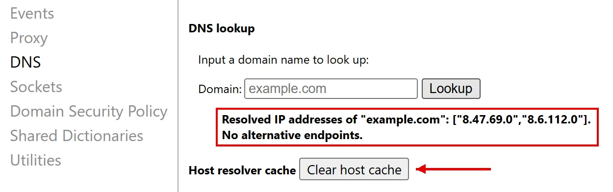 Chrome'un net-internals DNS sayfası: example.com için Chrome'un çözdüğü adresler kırmızı çerçeveyle, Clear host cache düğmesi kırmızı okla işaretli