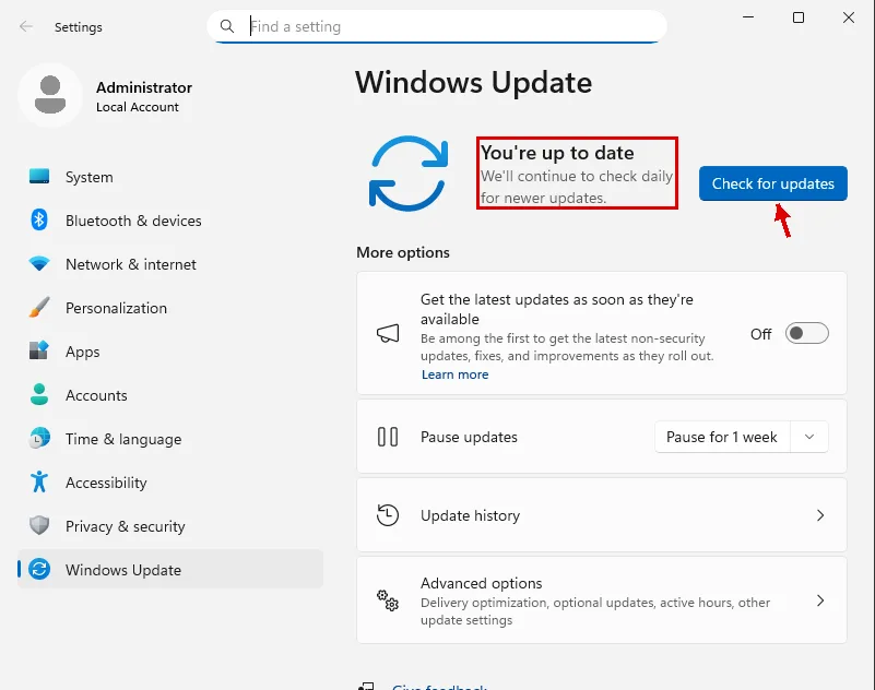 Windows Update ekranı: hiç denetleme yapılmamışken You're up to date yazısı kırmızı çerçevede, Check for updates düğmesi okla gösteriliyor